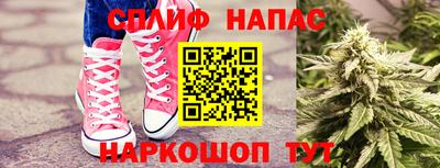 ECSTASY Славгород