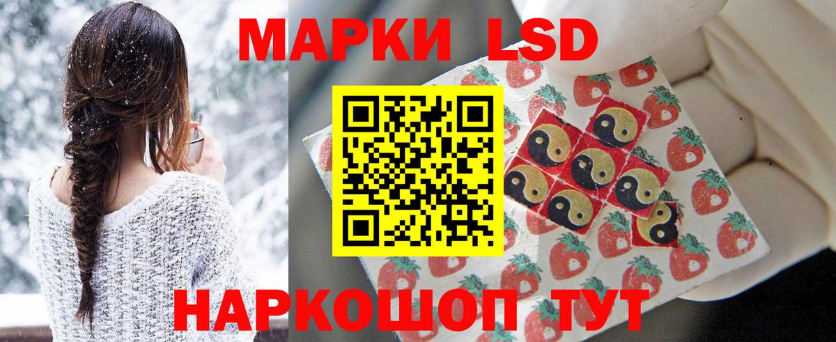 Новозыбков  ЛСД экстази ecstasy  Вход с VPN  ЛСД экстази ecstasy 