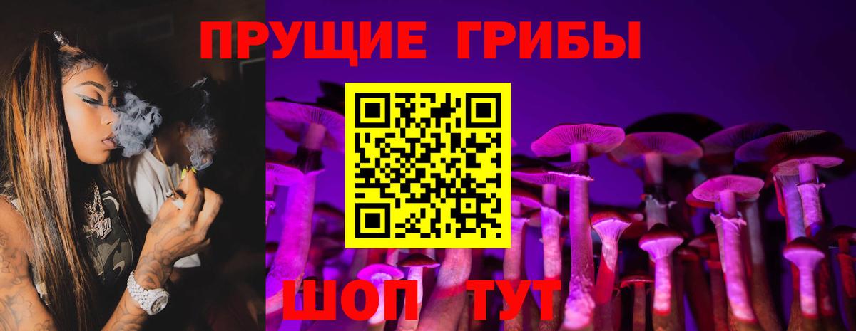 Галлюциногенные грибы Magic Shrooms Новозыбков