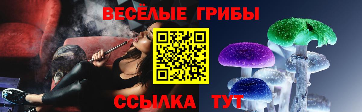 Псилоцибиновые грибы Psilocybine cubensis  Вход с VPN  Новозыбков 